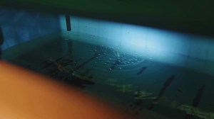 Vertical Gardening with PVC Pipes: Space-Saving and Efficient