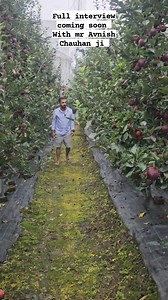 184K views · 4.2K reactions | AVO Fruit Tree Nursery | Kotkhai Farmers | Facebook