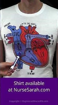 Heart Anatomy Made Simple with Mnemonics #shorts #anatomy #heart