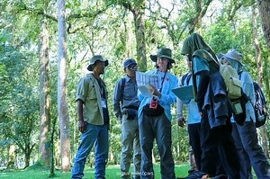 Cegah Kepunahan Tumbuhan Indonesia, BRIN dan Lembaga Asing Bangun Bank Benih | National Geographic
