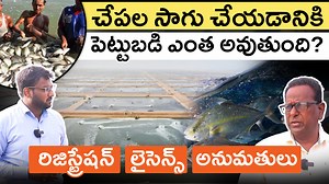 68K views · 661 reactions | How Much Investment is Needed for Fish...