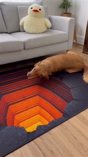 He Really Thought the Floor Disappeared 😭🐶 #illusion #dog