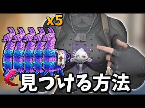 全部ラマ見つける【フォートナイト/Fortnite】