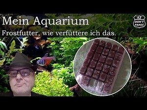 Frostfutter, wie verfüttere ich das. | Mein Aquarium 76