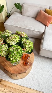 11K views · 554 reactions | 1 AN = 3 TABLES BASSES  Les DIY, ce n’est pas toujours un gage d’économies ! Surtout quand on utilise des matériaux comme le bois, qui peuvent aller du simple au triple en fonction du type de bois, de la qualité ou encore de la provenance  Ici 3 exemples de tables basses avec clairement 3 budgets différents ! Alors ? Laquelle a votre préférence ? 﫶殺 #diy #diyhomedecor #decoration #diydecoration | L'appart Neyap | Facebook