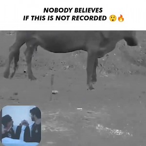 659K views · 7.9K reactions | He crack the cheat code 來 | I love Memes | Facebook