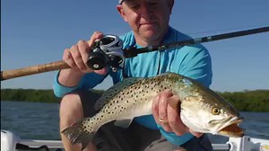 38K views · 665 reactions | The new Tranx in action! Our pro staffers are having a little fun down in Florida testing out the Tranx 300, targeting big snook with live bait. What are you planning to target with the new Tranx? fal.cn/Tranx300 Video: Ryan Collins Media featuring Pro Staffer Capt. Ryan Farner and Shimano Experience Team Supervisor Blaine Anderson. #FishShimano | Shimano North America Fishing | Facebook