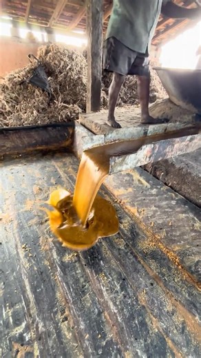 Natural jaggery | making process 💪 #youtubeshorts #nature #healthy #food