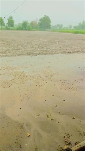 Mohammad Tahir (@mohammad.tahir475)’s videos with original sound - Sufi Lines