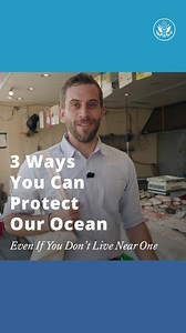 5.2K views · 104 reactions | On #WorldOceanDay, check out three ways you can protect our ocean, home to hundreds of thousands of species. The ocean makes life on Earth possible and is vital to our future. Learn more: https://www.state.gov/oceans/ National Oceanic and Atmospheric Administration (NOAA) Seafood Watch U.S. State Department - OES World Ocean Day | U.S. Department of State | Facebook