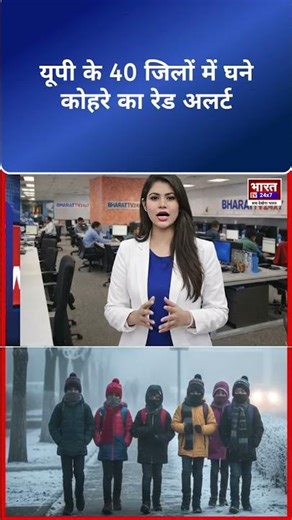 UP Weather Alert | Dense Fog Red Alert in 40+ Districts | Visibility Near Zero