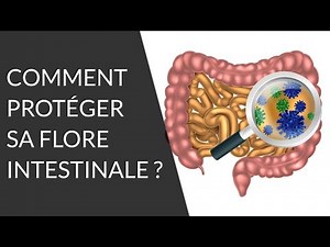 Quels sont les aliments bons pour notre flore intestinale ? - Question Nutrition