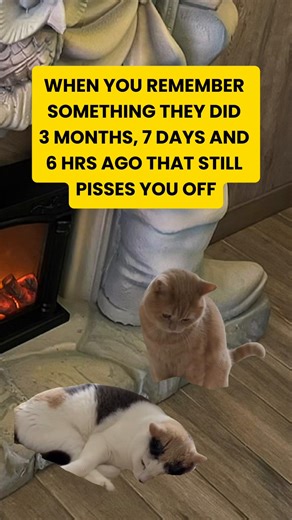Hilarious Memes That Reinforce Karma Lessons