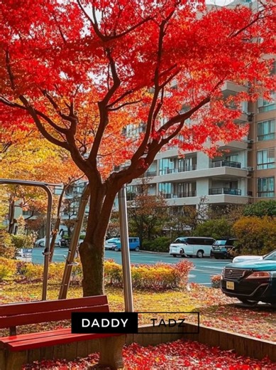 Daddy Tadz 🇵🇭🇰🇷 (@daddy.tadz)’s videos with original sound - music