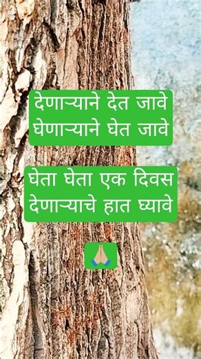 bagh ughaduni dar Lord Vitthal Abhang #life #lesson #candid #tiny #ants #magic #mother #nature best