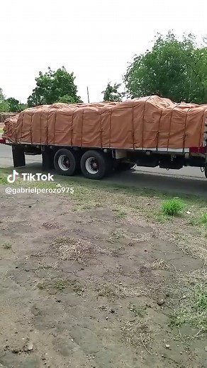 Truck Engine Inspection: A Step-by-Step Guide