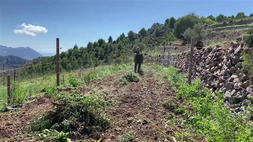 Preparing a new piece of land for farming