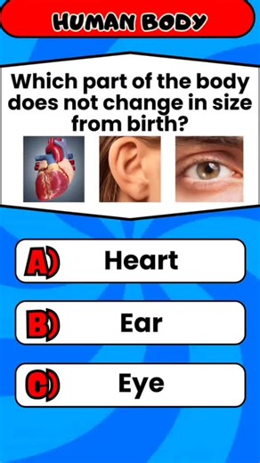 Engaging General Knowledge Quiz for Everyone