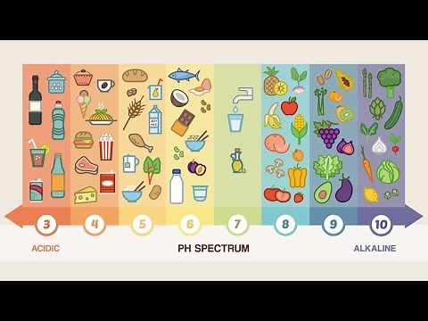 Top 10 Alkaline Foods You Should Be Eating Everyday