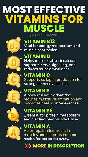 Most Effective Vitamins for Muscle Maintenance #vitamin #muscle #musclehealth