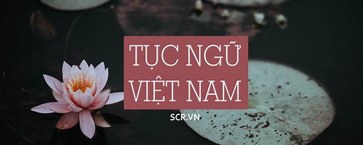 500 Câu Ca Dao Tục Ngữ Việt Nam Nhiều Chủ Đề