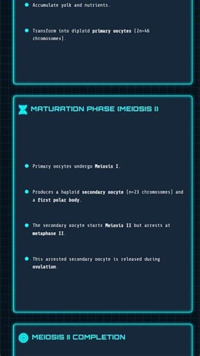 Human Female Reproductive System, Oogenesis, and Menstrual Cycle
