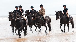 340K views · 1.5K reactions | Saddle up and experience this 360 video ride with The Household Cavalry on Holkham Beach in Norfolk. Thanks to the Blues and Royals for their help in making this. Best viewed in 'enlarge' mode if watching on a desktop. | BBC Norfolk | Facebook