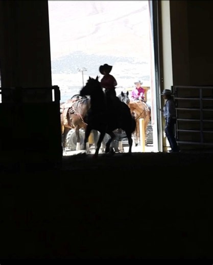 Flashlight Goat Tying Highlight at High School Rodeo