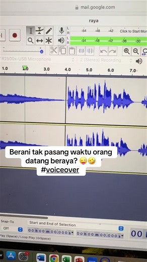 Creative Voice Over Ideas for Raya 2026