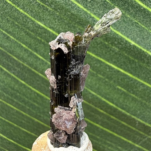 Incredible Growth Pattern Green Tourmaline With Purple Lepidolite • 1.8 Grams Pederneira Mine Brazil Elbaite Gemstone Gem Quality - Etsy