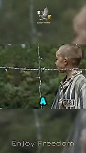 Et dire que cela bel et bien existé ! ✨❤️ LE GARÇON AU PYJAMA RAYÉ ~ ÉDIT ~ #legarconaupyjamarayé #films #edit ✨❤️ | Enjoy Freedom