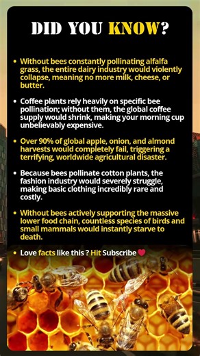 5 Terrifying Things That Would Happen If Bees Disappeared
