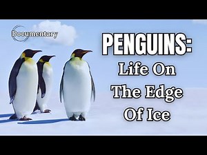 PENGUINS: Life on the Edge of Ice | A Cinematic Wildlife Documentary (4K)