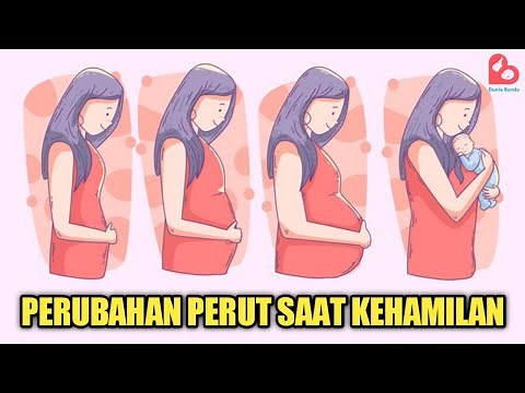 Here's How Your Belly Shape Changes Each Month During Pregnancy