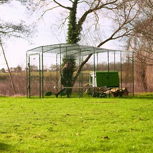 Give your hens more space to play, peck and perch! Designed to work with any chicken enclosure, Omlet's Walk in Run is strong, durable and extendable. Heavy-duty steel keeps your chickens in, and predators out! Plus, anti-dig skirting comes standard on all of our chicken runs. Let your chickens out to play! | Omlet USA
