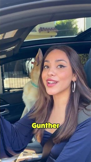 Did she say Papi Chulo? #richdog #houseofgunther #sugardoggy