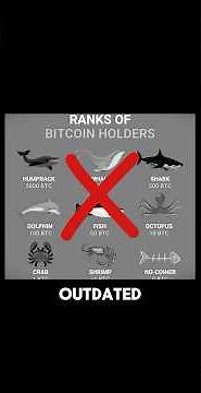 This Chart Will Change How You See Your Bitcoin Stack