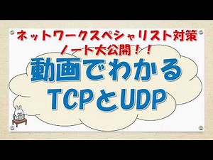 [#29 Network Study NESPE CCNA CCNP] What are TCP and UDP?