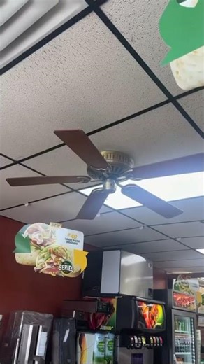 Hunter Aniques Ceiling Fans in Subway