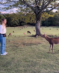 Natacha Oceane on Instagram: "Found a big, old volcano so ofc we had to go take a little look inside the crater and you’ll never guess what we found 🌈🌈🌋🇯🇵🥹"