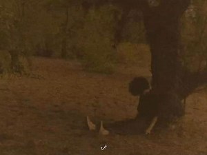 201K views · 14K reactions | beer | pelo | Facebook