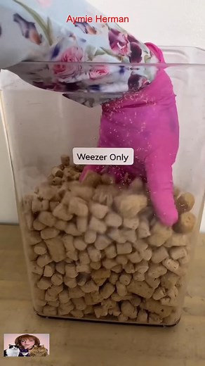 Major OUTBREAK beware 😂 #3southern #cats #tiktok #loves #kristicates | Kristi Catess