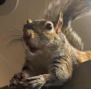 The first time he realized how it felt to be loved.🥺❤️‍🩹 | D e e p c r a z yツ