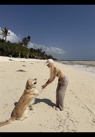 Когда твой ретривер весит как вся твоя мотивация, но мама сказала: «мы справимся» 🐕💪 #goldenretriever #dogmom #doglove #retrieverlife #dogreels