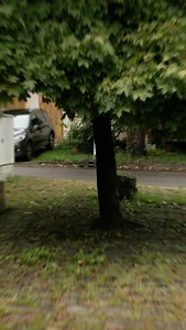 3.3K views · 11 reactions | Day 2/30: Master the Text Reveal effect in After Effects ✨ Perfect for titles, announcements, or any eye-catching text. And comment „Grow“ if you want to join the waitlist for my live program to learn After Effects which launches on October 22nd 朗 #videoediting #videoeffects #videoedits #editing #editingtutorial | The Cutlery | Facebook