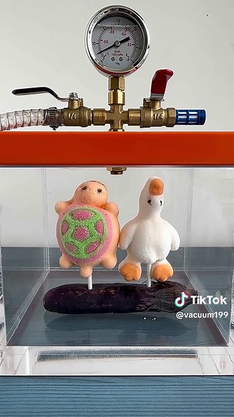 Cartoon Candy Vacuum Experiment: Science for Kids