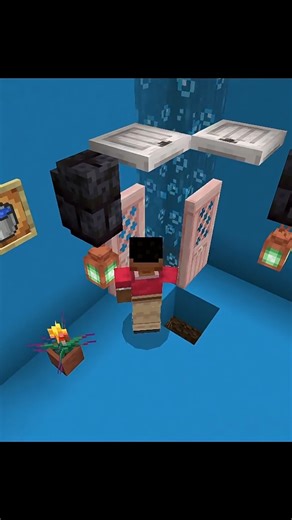 Minecraft tik tok hacks pe#shorts