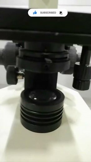 Microscope | Compound Microscope
