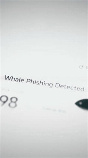 clip-4181618661-whale-phishing-report-displays-exact-risk-score