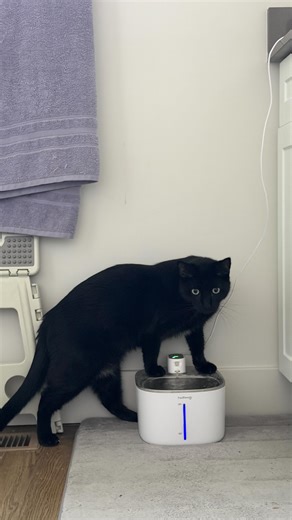 krizabelle manimtim on Instagram: "🥹"